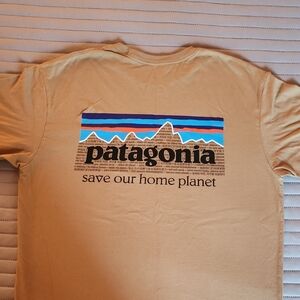 Patagonia Tan Tee with Mountain Graphic